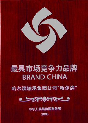 哈爾濱軸承集團(tuán)公司-最具競(jìng)爭(zhēng)力品牌