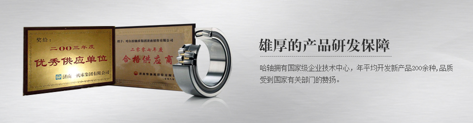 哈軸濟(jì)南銷售有限公司滾動(dòng)軸承，深溝球軸承